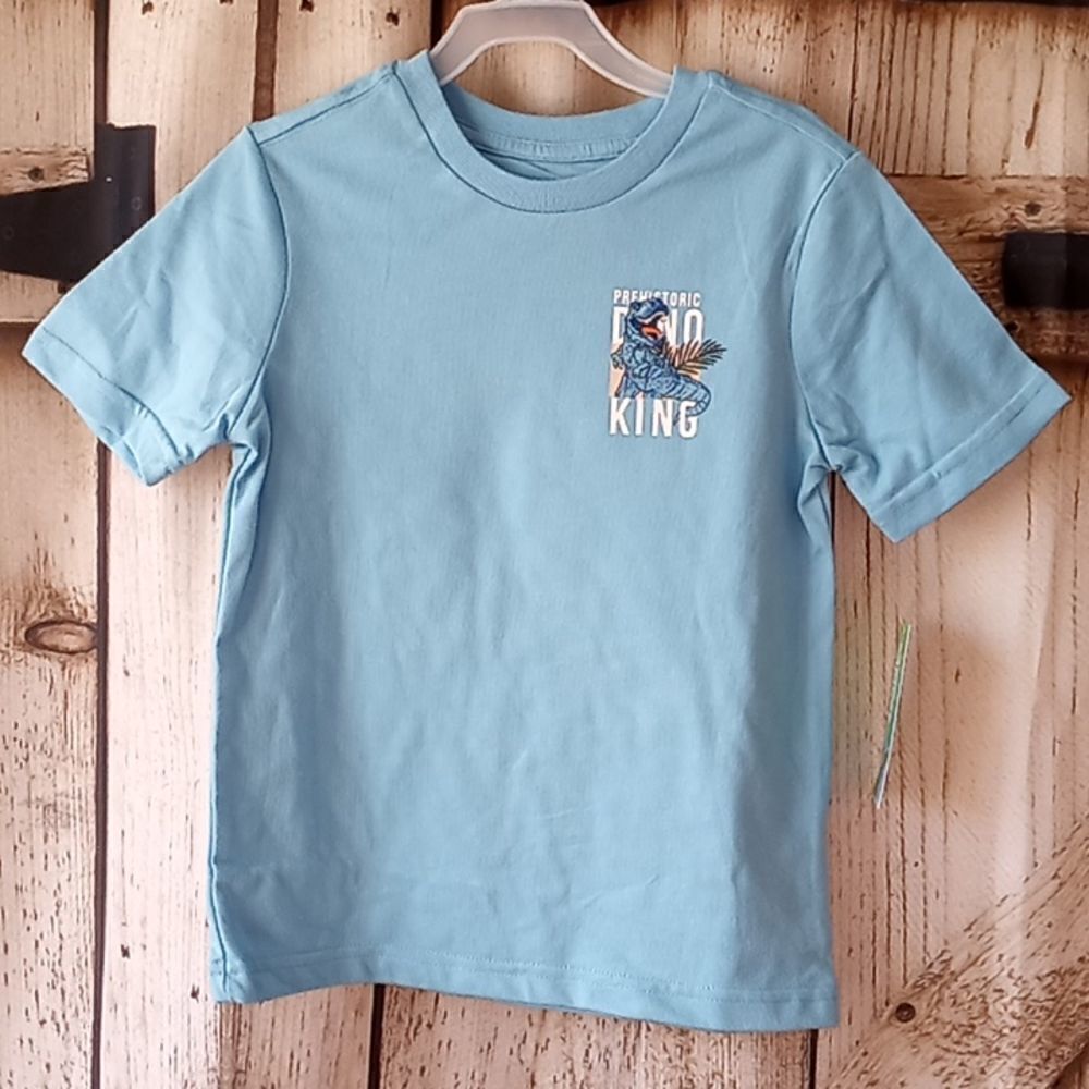 Boys Dinosaur T Shirt